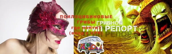 амф Арсеньев